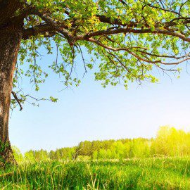 Le Soleil est là… les vacances d&rsquo;été arrivent !