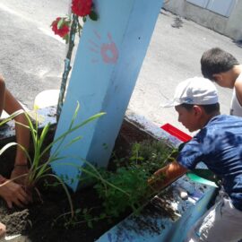 Incroyables Comestibles