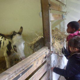 Les vacances à la Maison de la Petite Enfance en images