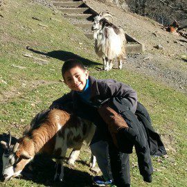 l&rsquo;ours, la suite…