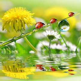 Programme des vacances de Printemps