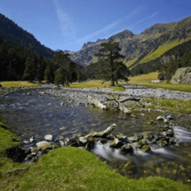 Le séjour Nature !!! du 18 au 21 avril 2017