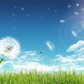 Vacances d&rsquo;été 2017 – ME – MPE – Secteur Jeunes – Jardin de Toni…. C&rsquo;est parti!!!