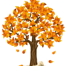 Vacances d&rsquo;Automne 2017