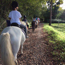 Sortie Équitation