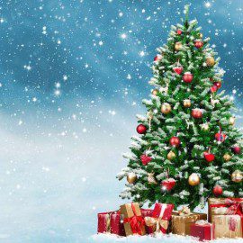 Vacances de fin d’année, les sorties . Vacances de fin d’année, les sorties .