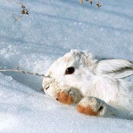 Vacances d’Hiver 2018 Vacances d’Hiver 2018