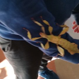 Tijera est partie :/ Tijera est partie :/