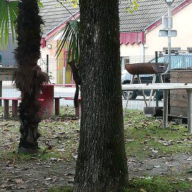 Nouvel ado ! Nouvel ado !