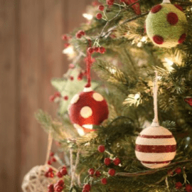 VACANCES DE NOËL dernières places disponibles