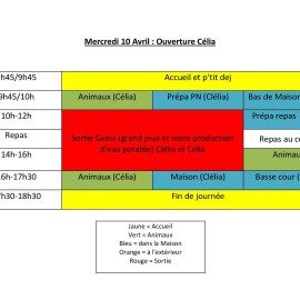Toni : le programme des mercredis