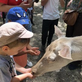 Les aventures continuent à la Maison de la Petite Enfance ! Les aventures continuent à la Maison de la Petite Enfance !
