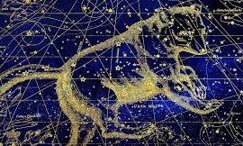 Des étoiles plein les yeux