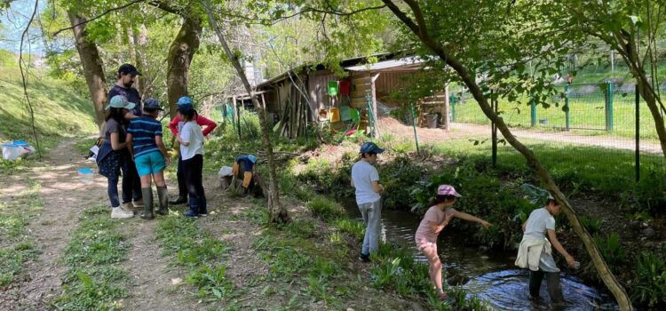 Un printemps enchanté au Jardin de Toni