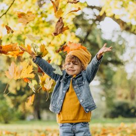 Vacances d’automne 2026 : l’or et la lumière !Inscriptions ouvertes !
