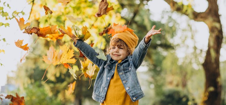 Vacances d’automne 2026 : l’or et la lumière !Inscriptions ouvertes !