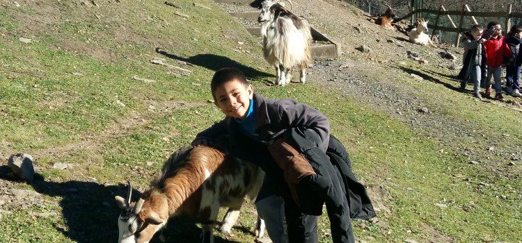 l’ours, la suite…