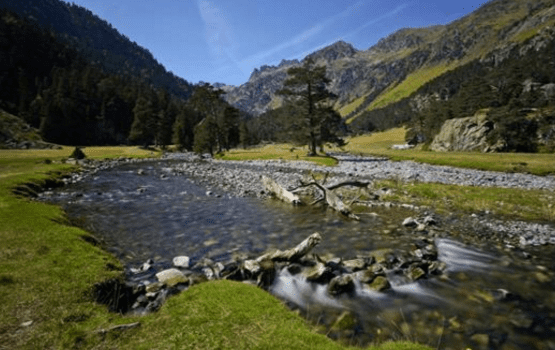 Le séjour Nature !!! du 18 au 21 avril 2017