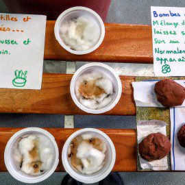 Activités de Vacances, à la Maison de la Petite Enfance