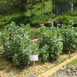 Au  JARDIN de TONI on est « TOUS SUR TERRE » !