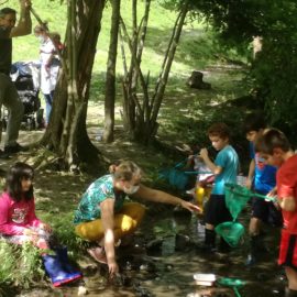 Ces petites bêtes mystérieuses au jardin de Toni 8 mai 2021