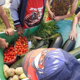 Une semaine « Manger Bouger » au Jardin de Toni