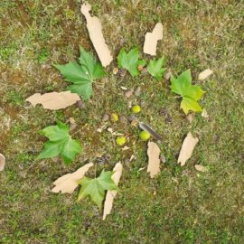 Les vacances se poursuivent au Jardin de Toni