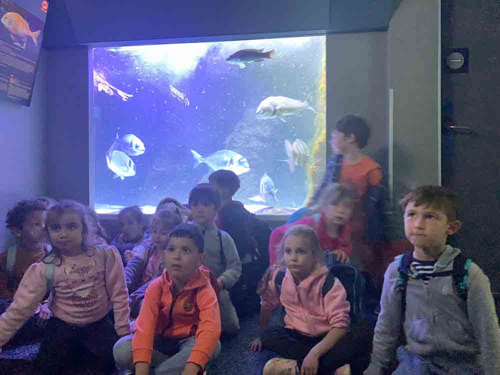 aquarium-biarritz23-mpe (2)