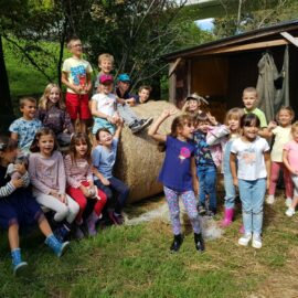 L’automne au Jardin de Toni 🧑‍🌾