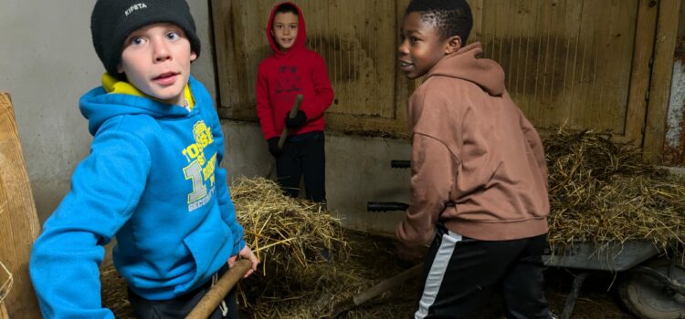 Les mercredis de décembre au Jardin de Toni