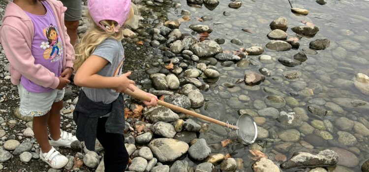 Des temps forts sur la fin de l’année et l’été 2025 à la Maison de la Petite Enfance!