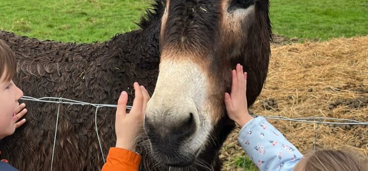 Retour sur les vacances d&rsquo;hiver au Jardin de Toni
