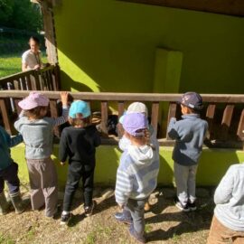 Retour sur nos vacances de printemps : Nature, rires et découvertes !