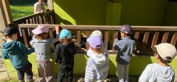 Retour sur nos vacances de printemps : Nature, rires et découvertes !